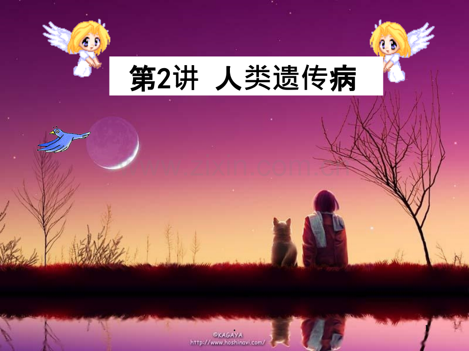 人类遗传病讲.ppt_第1页