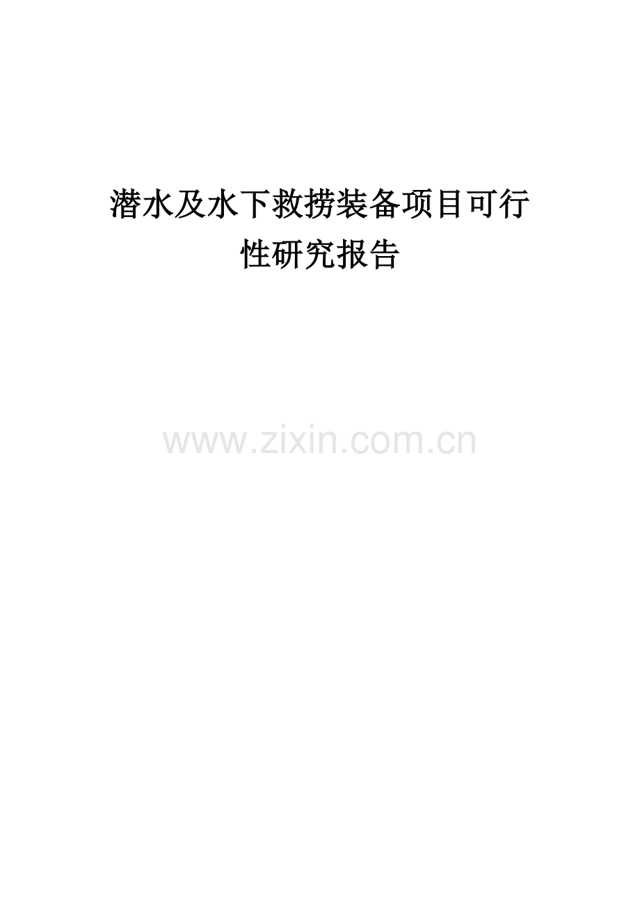2024年潜水及水下救捞装备项目可行性研究报告.docx_第1页