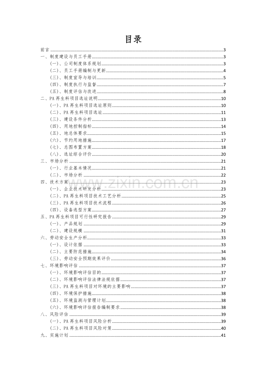 2024年PA再生料项目可行性研究报告.docx_第2页