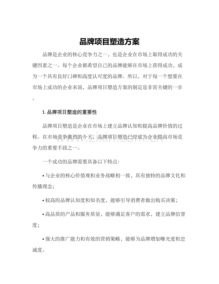 品牌项目塑造方案.docx_第1页