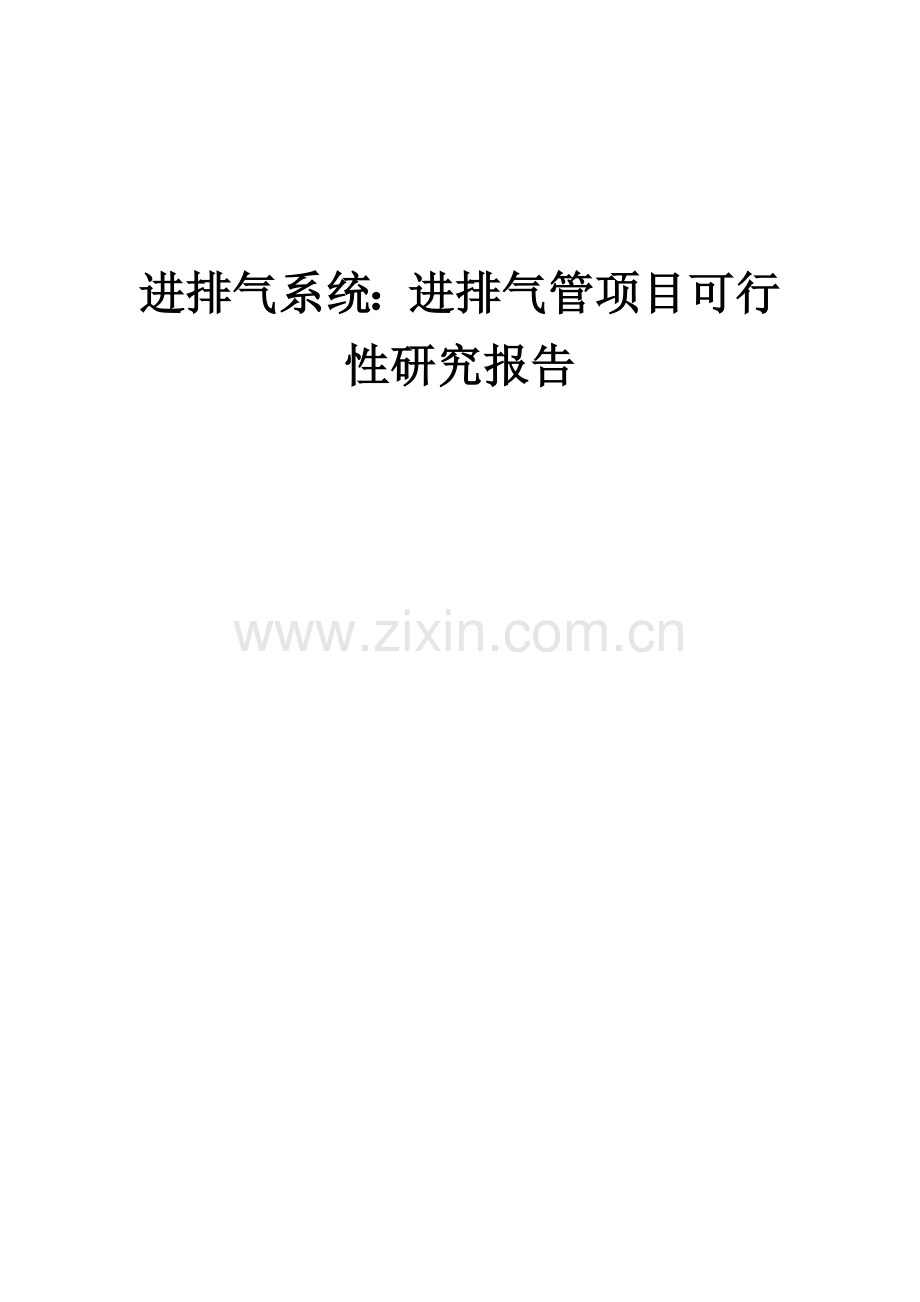 2024年进排气系统：进排气管项目可行性研究报告.docx_第1页