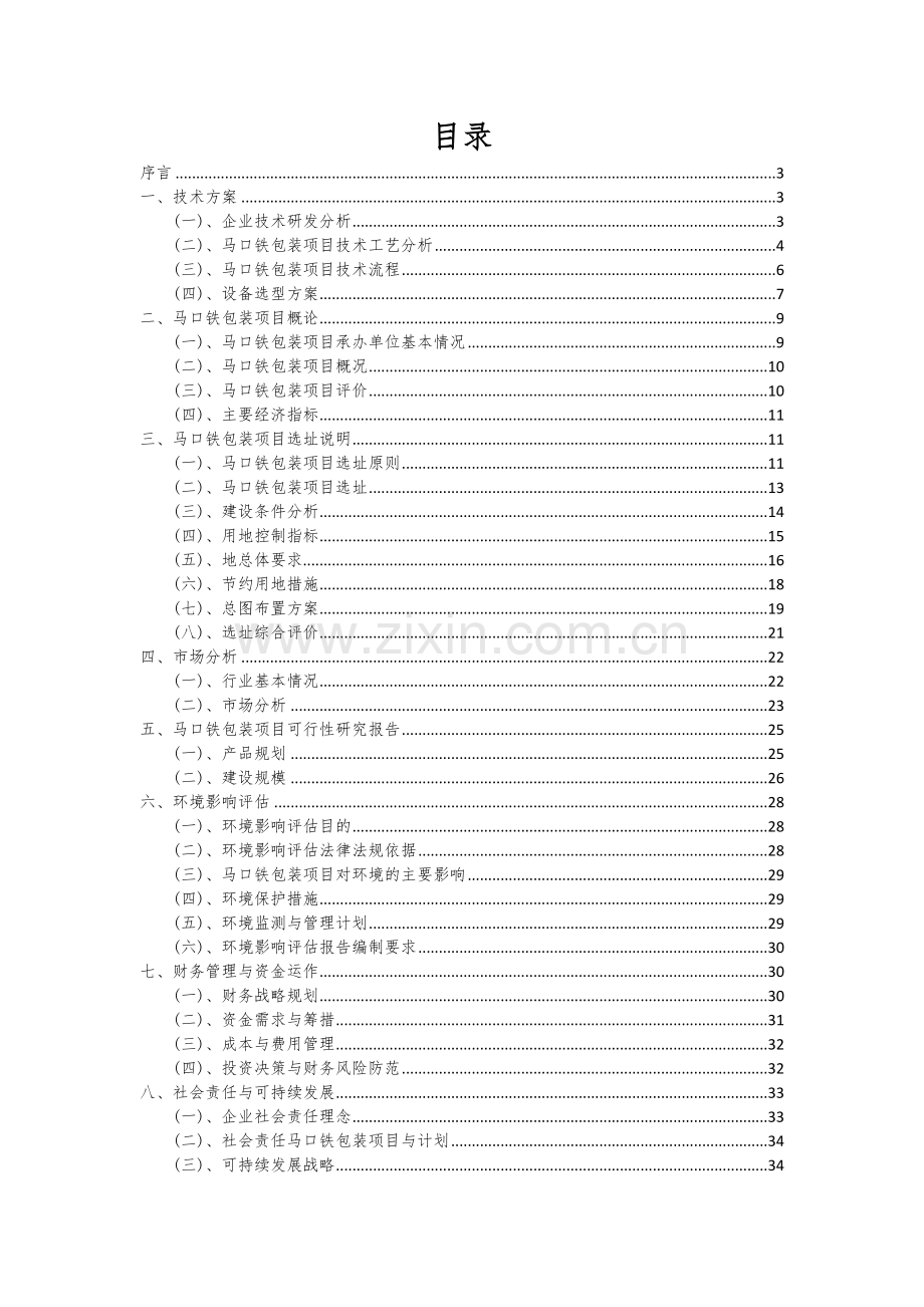 2024年马口铁包装项目深度研究分析报告.docx_第2页