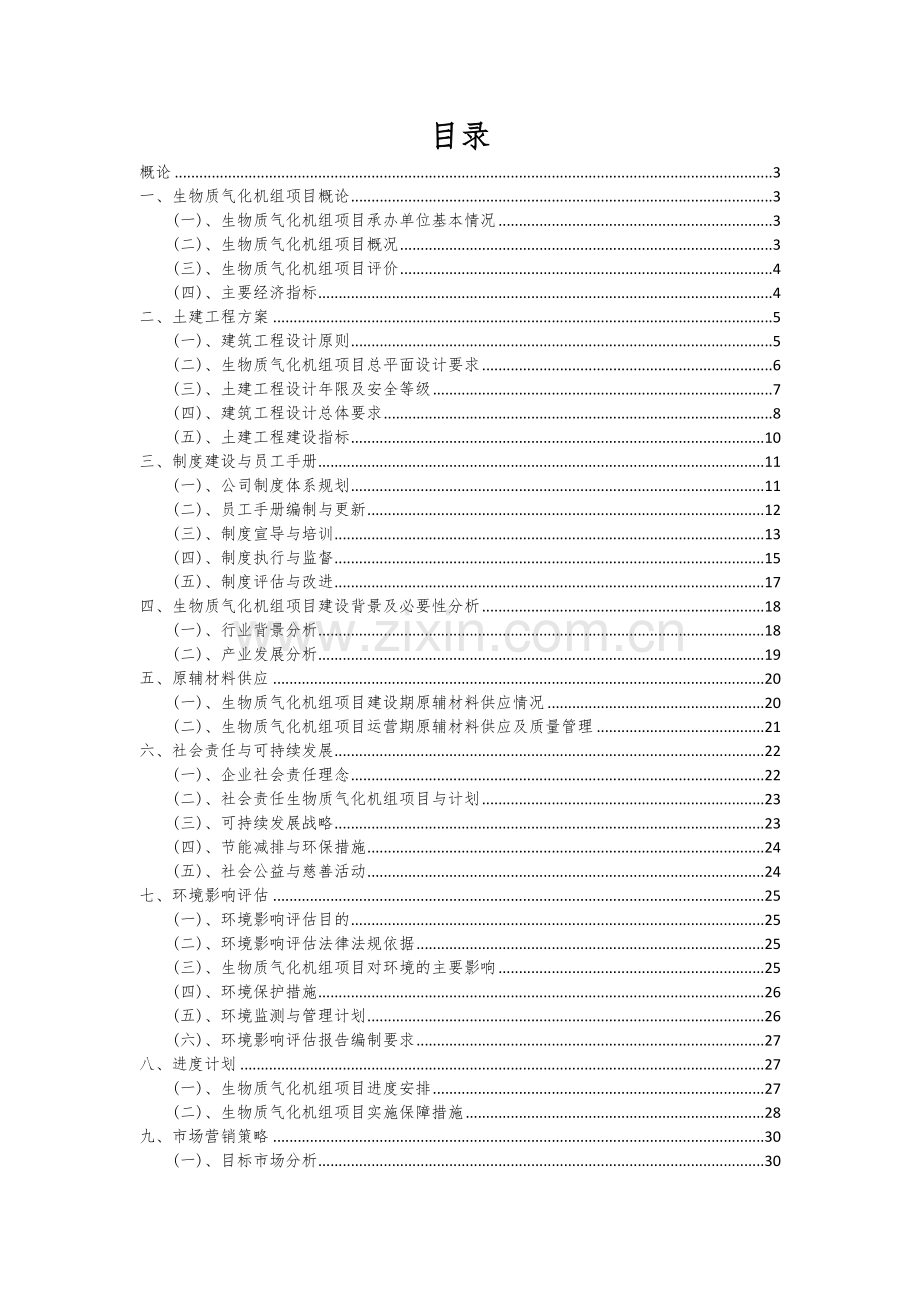2024年生物质气化机组项目可行性分析报告.docx_第2页