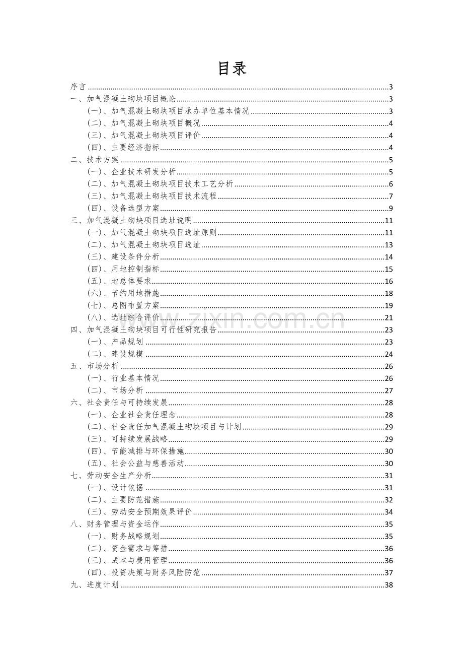2024年加气混凝土砌块项目可行性分析报告.docx_第2页