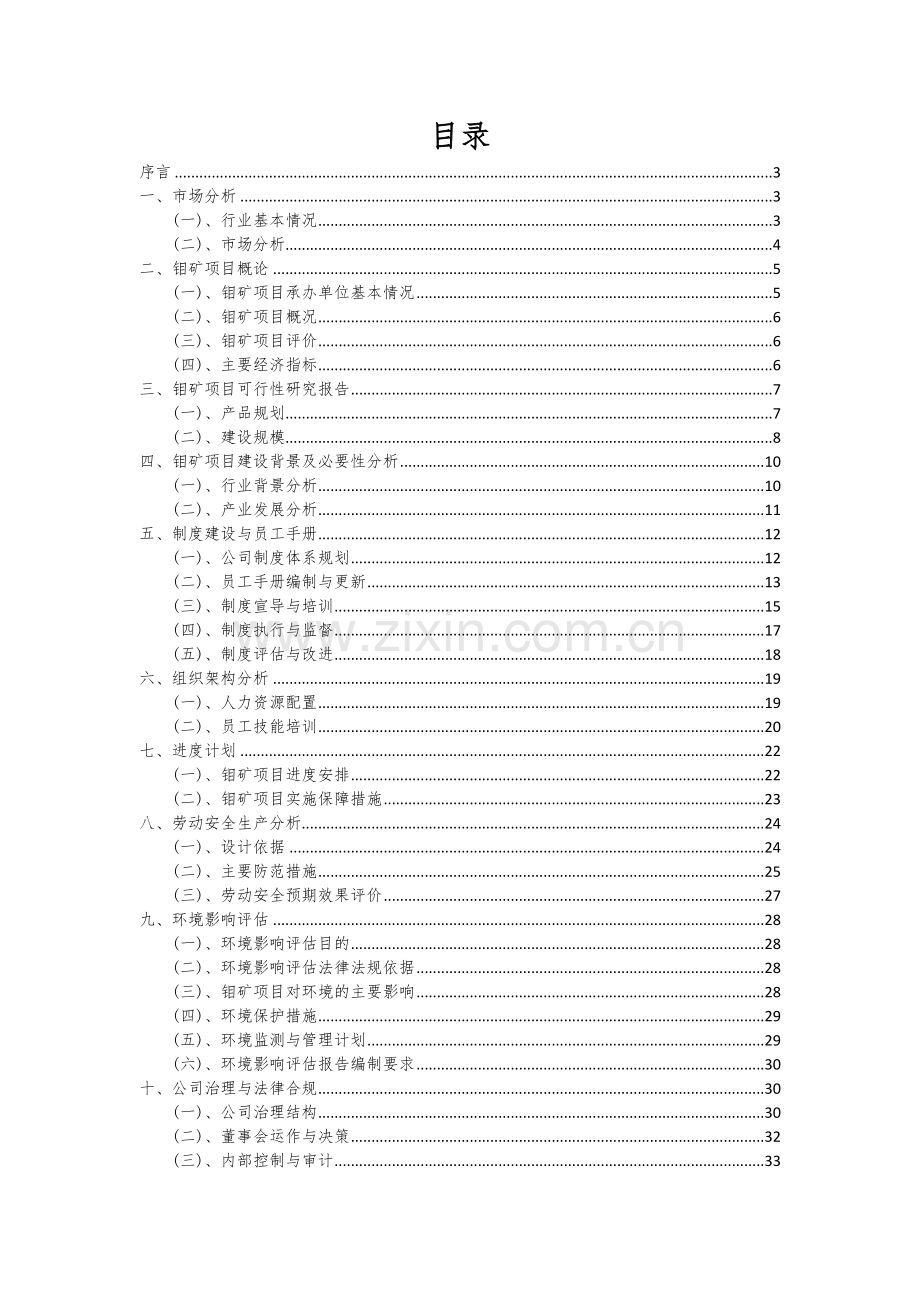 2024年钼矿项目可行性分析报告.docx_第2页