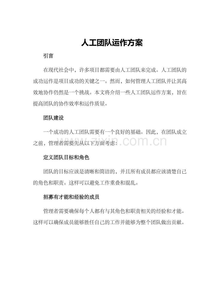 人工团队运作方案.docx_第1页