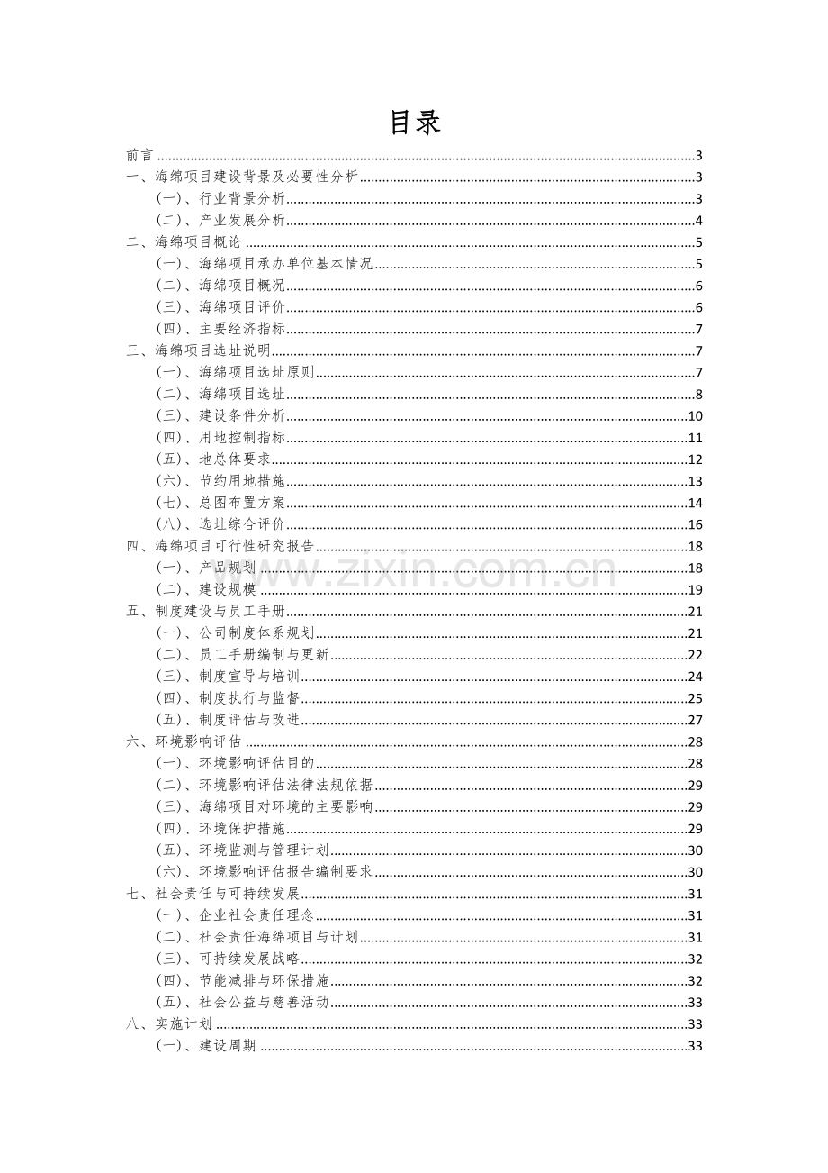 2024年海绵项目投资分析及可行性报告.docx_第2页