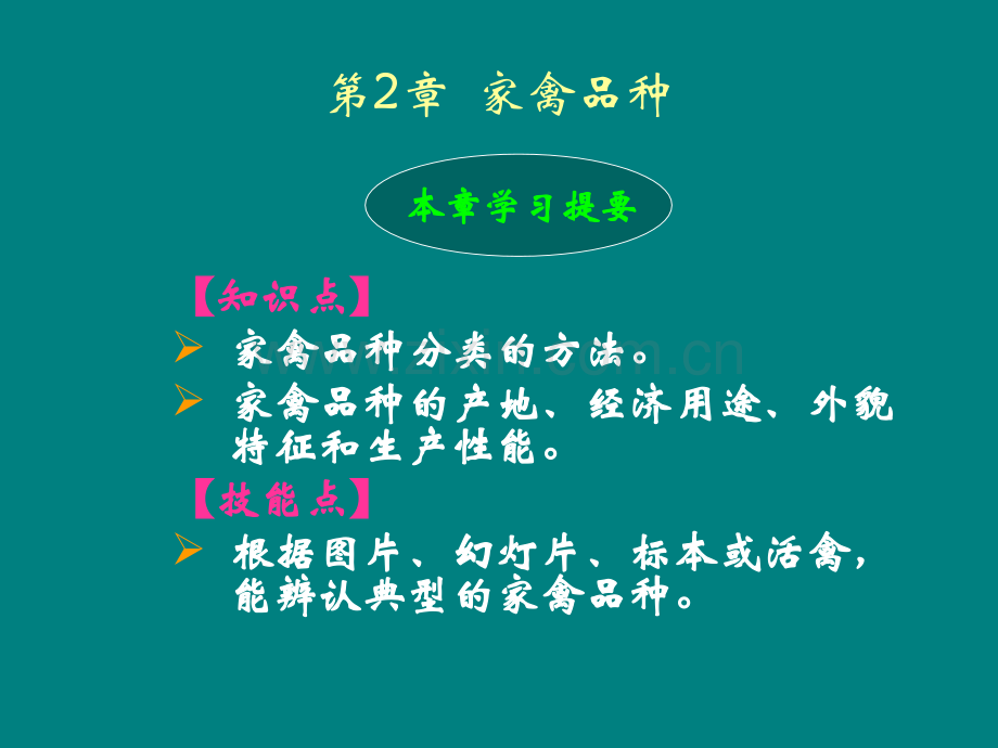 家禽的常见品种.ppt_第1页