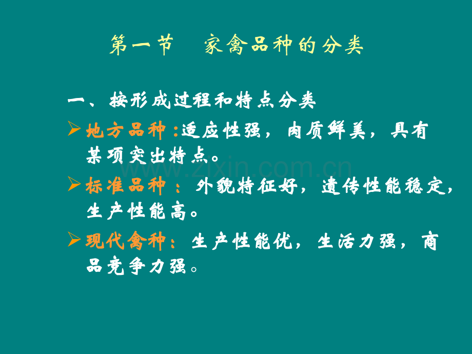 家禽的常见品种.ppt_第2页