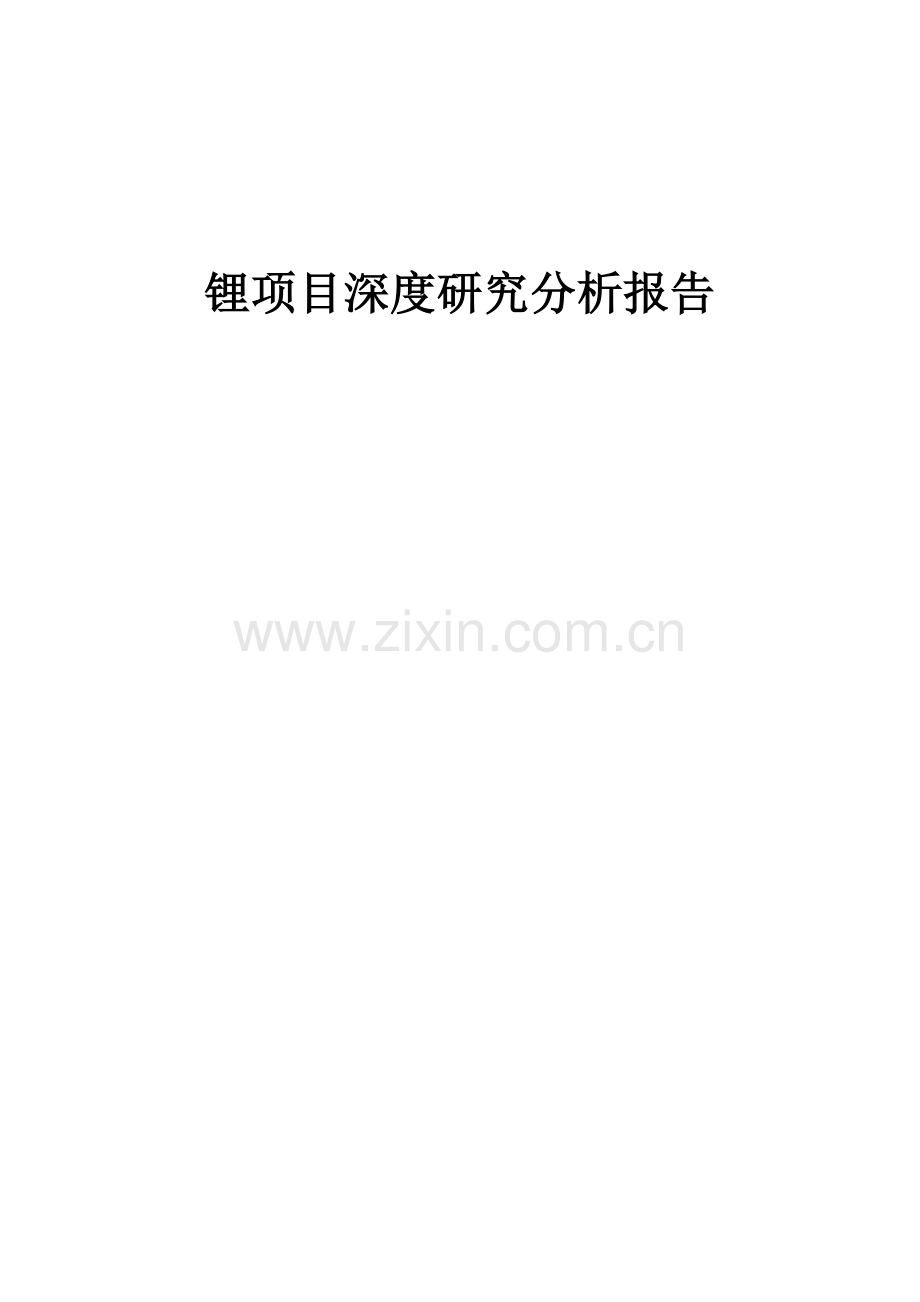 2024年锂项目深度研究分析报告.docx_第1页