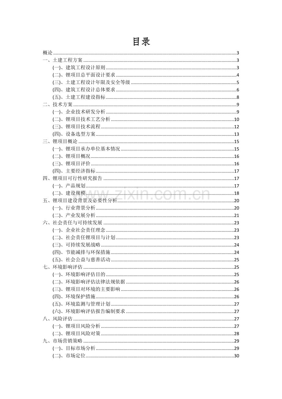 2024年锂项目深度研究分析报告.docx_第2页