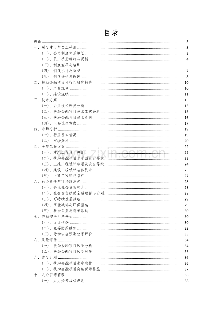 2024年扶助金融项目可行性研究报告.docx_第2页