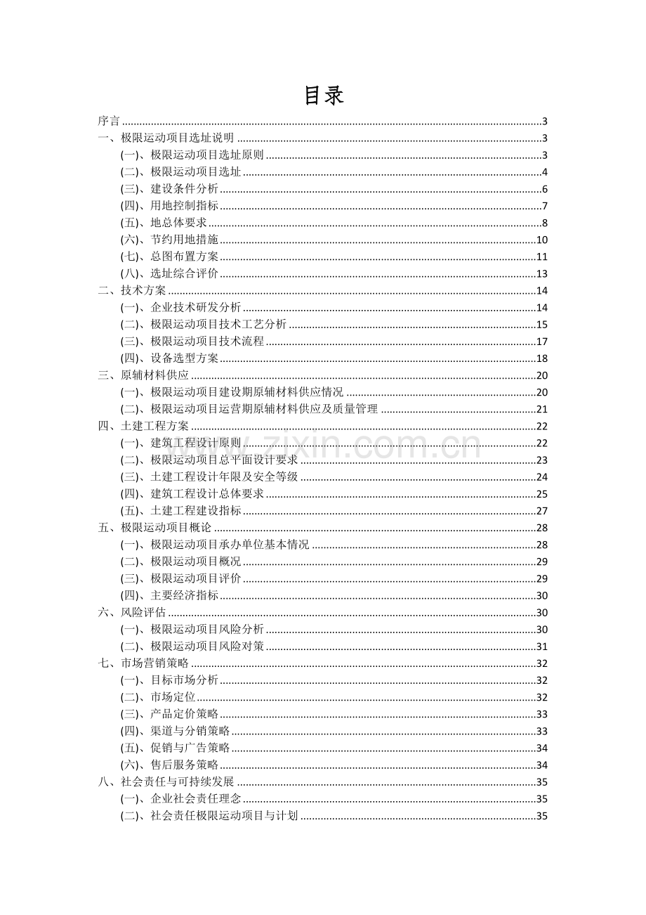 2024年极限运动项目深度研究分析报告.docx_第2页