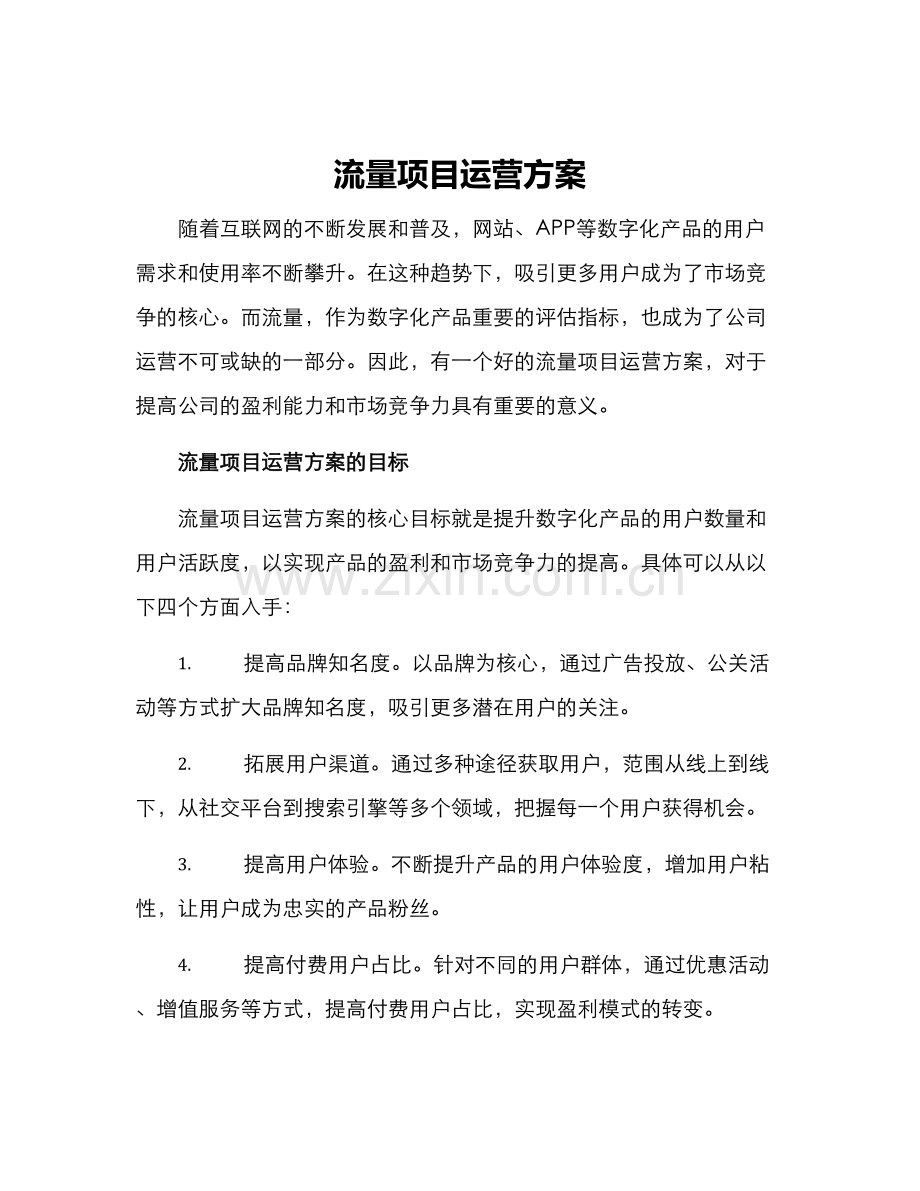 流量项目运营方案.docx_第1页