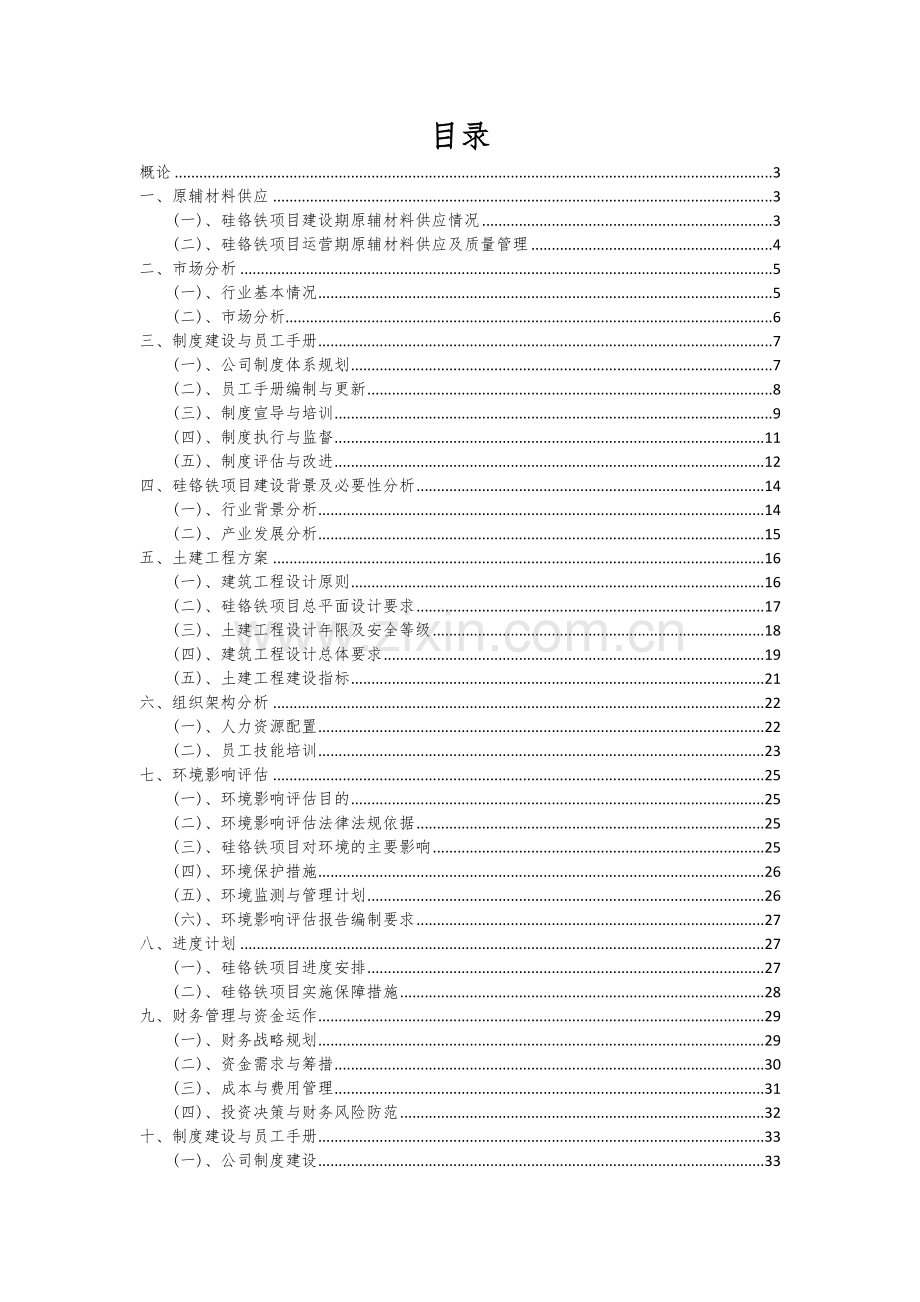 2024年硅铬铁项目可行性研究报告.docx_第2页