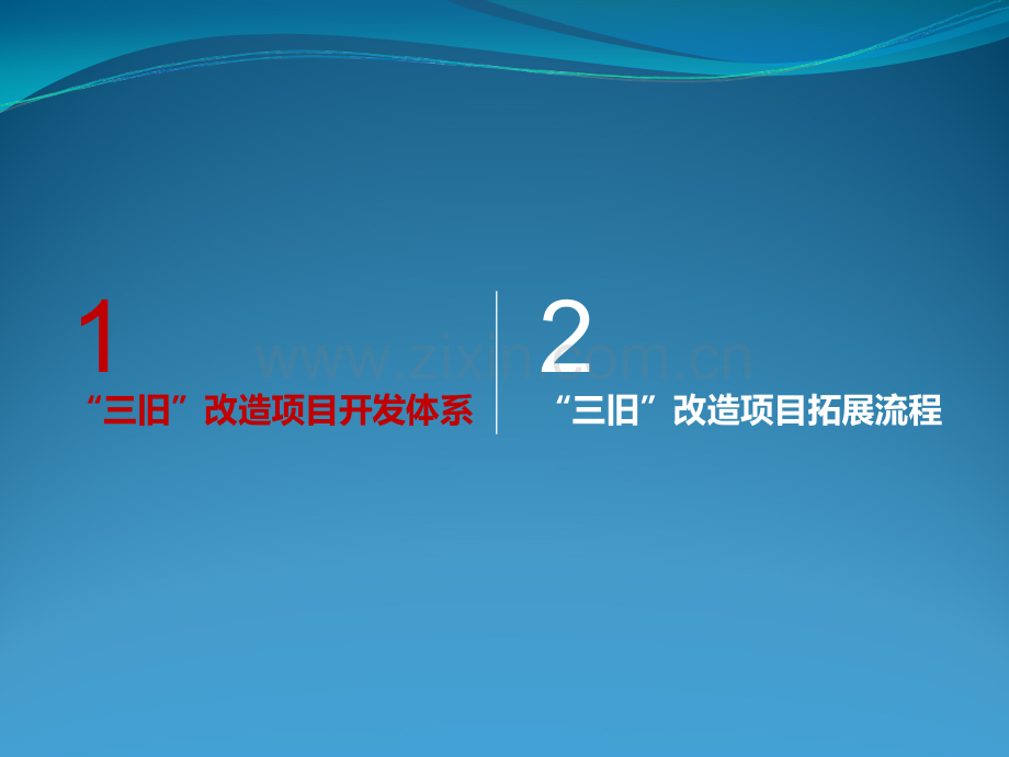 三旧改造项目开发体系与投资拓展流程.ppt_第2页