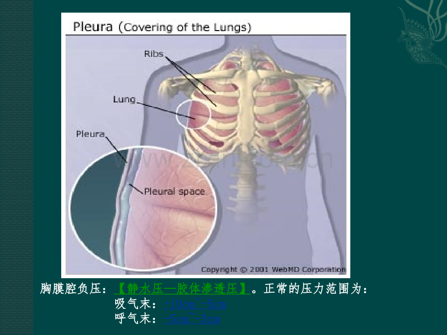 胸腔积液-气胸-脓肿-.ppt_第2页