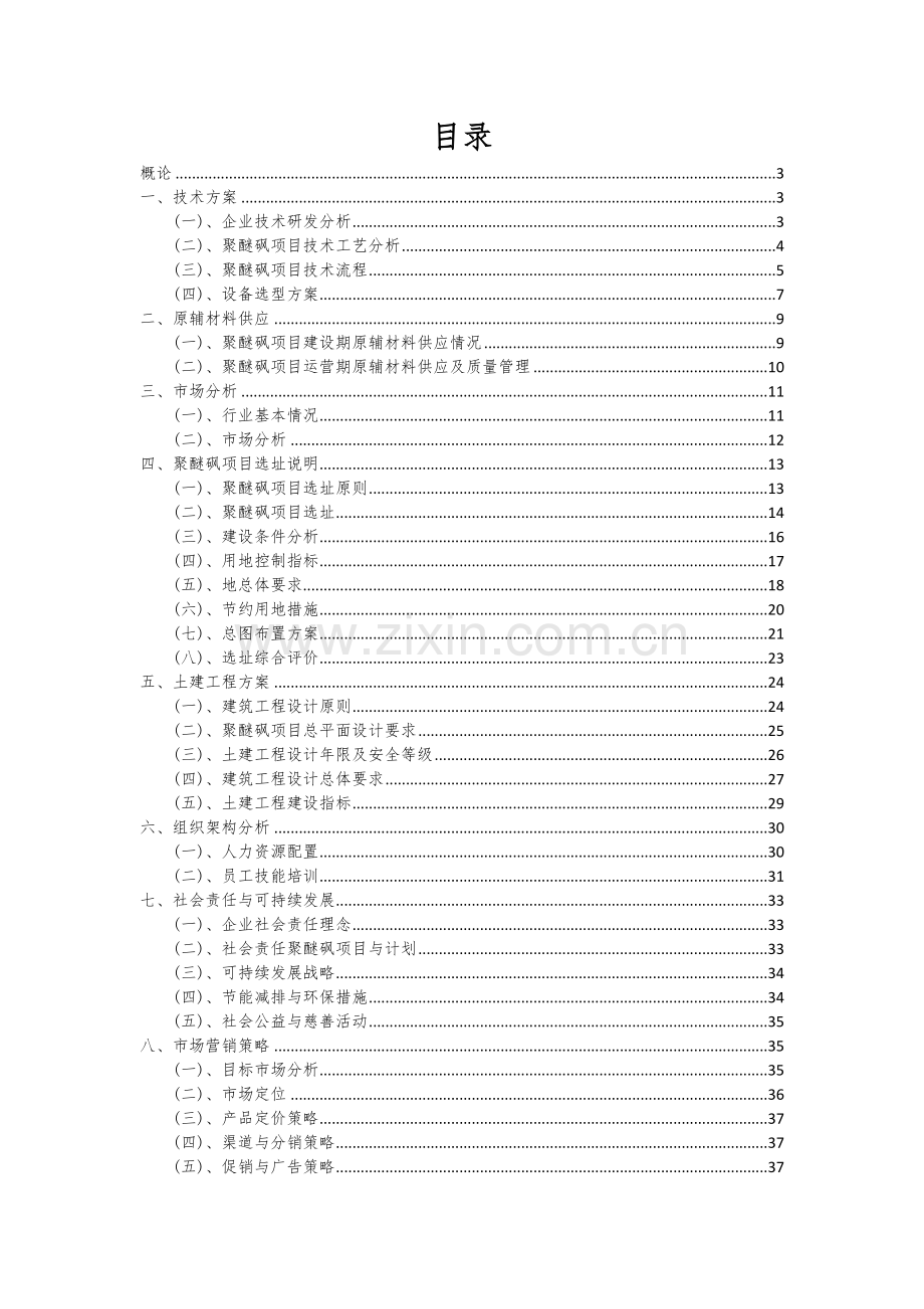 2024年聚醚砜项目深度研究分析报告.docx_第2页