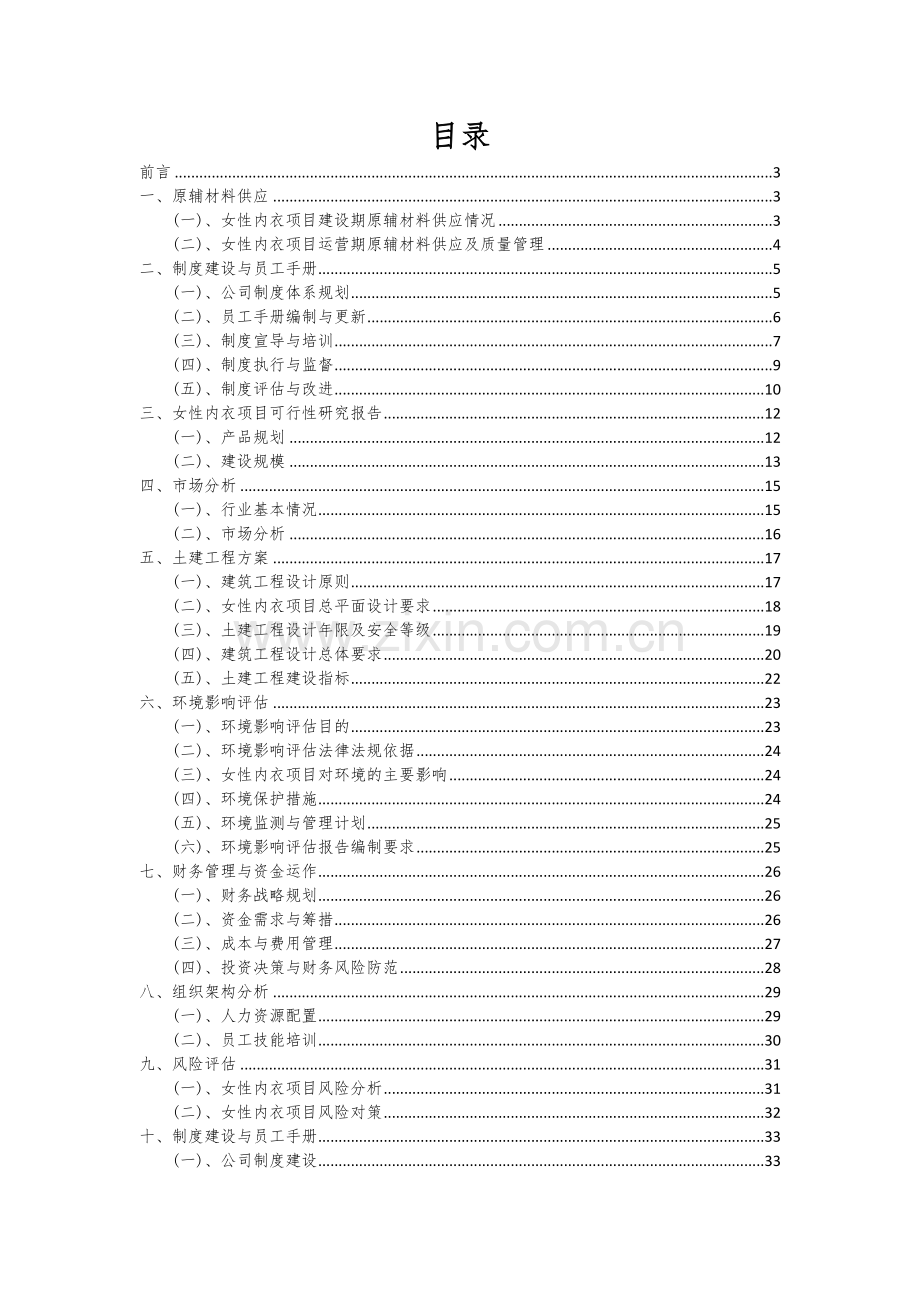 2024年女性内衣项目可行性研究报告.docx_第2页