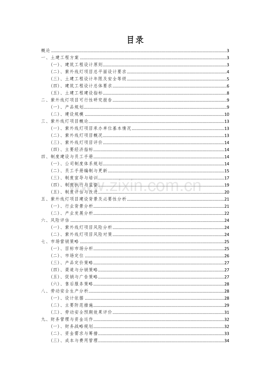 2024年紫外线灯项目可行性研究报告.docx_第2页
