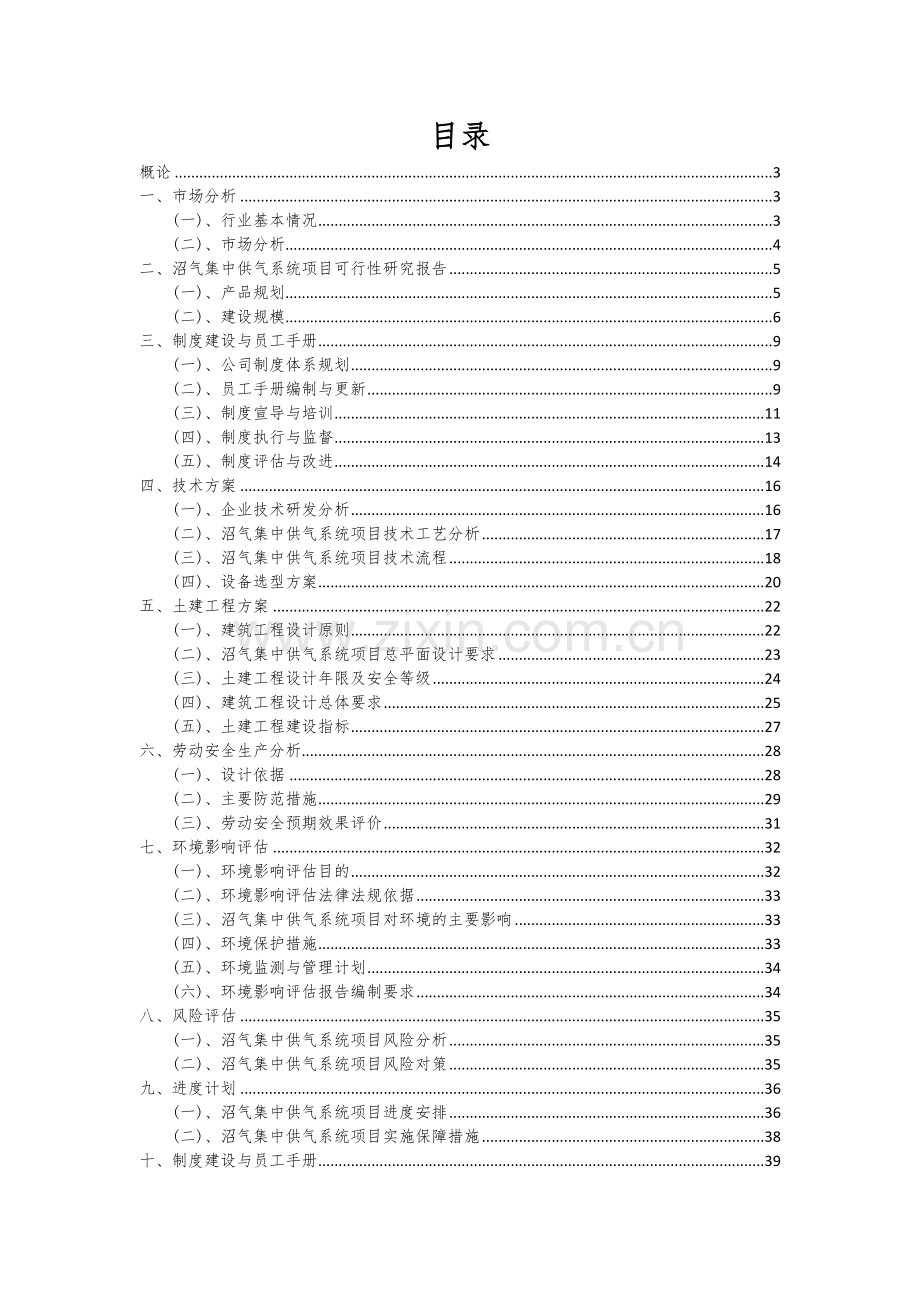 2024年沼气集中供气系统项目深度研究分析报告.docx_第2页