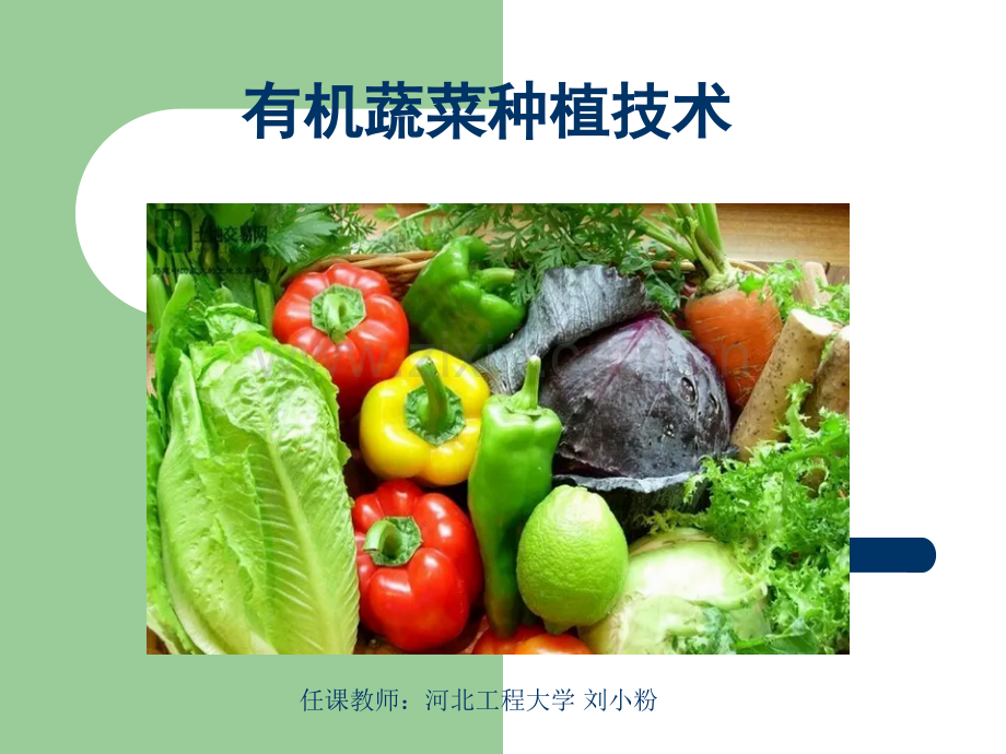 有机农业-有机蔬菜种植技术.ppt_第1页