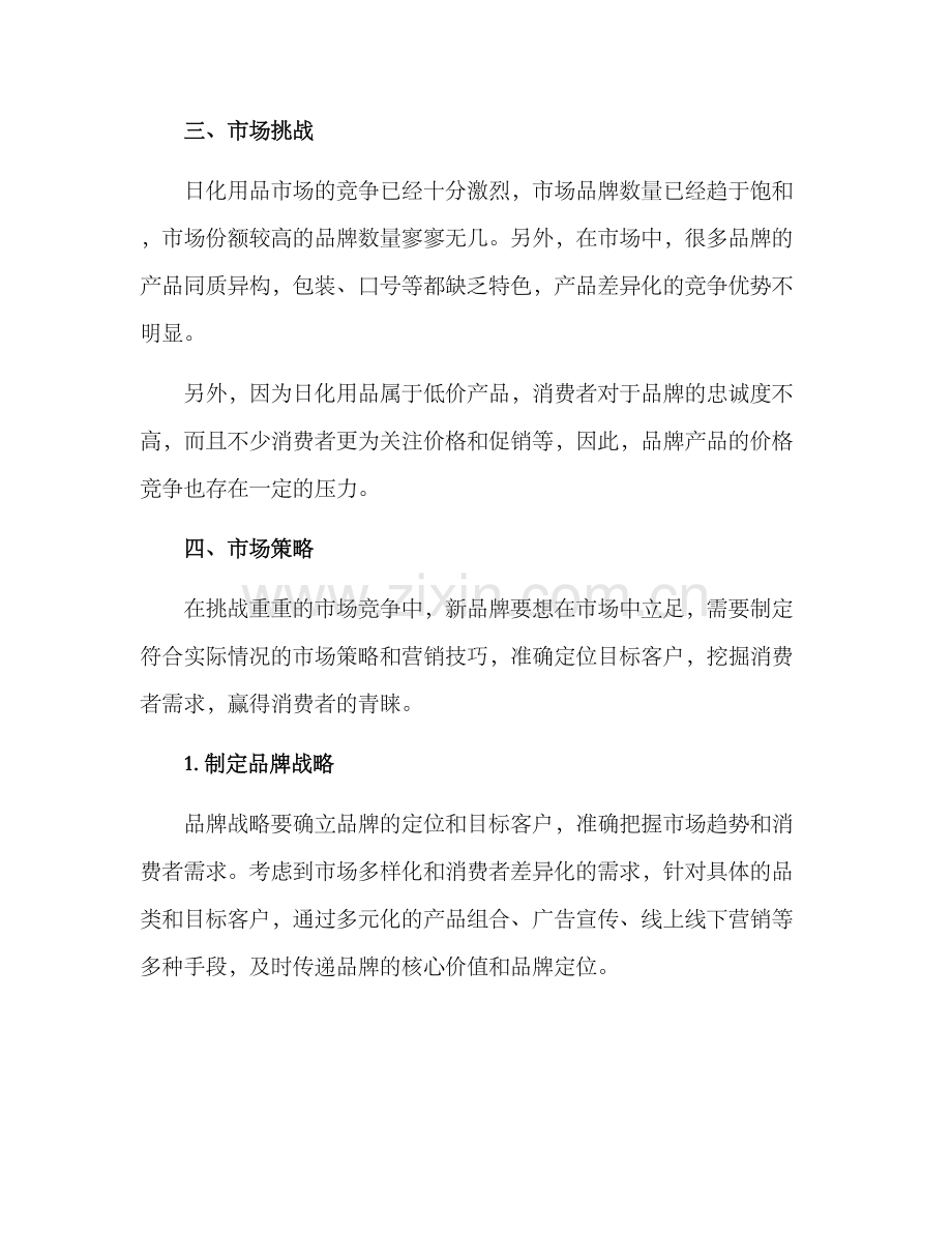 日化市场方案.docx_第2页