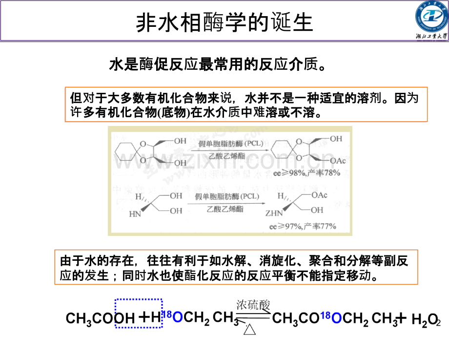 酶工程-第七-酶的非水相催化.ppt_第2页