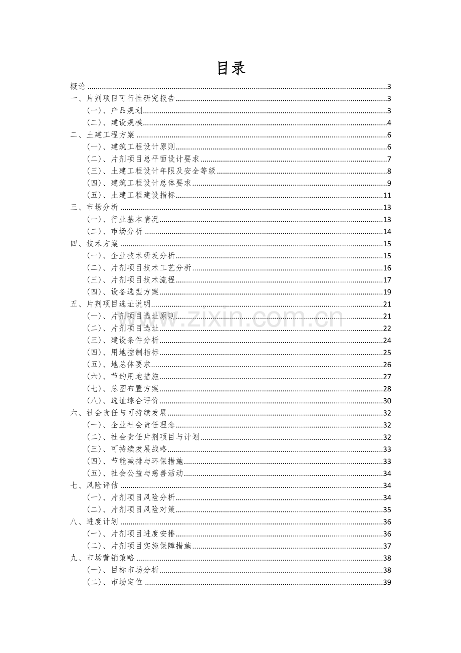2024年片剂项目深度研究分析报告.docx_第2页
