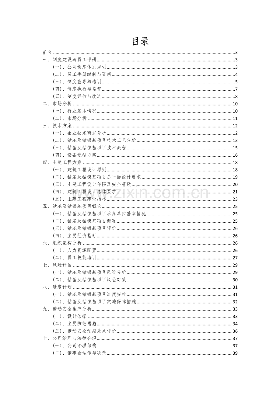 2024年钴基及钴镍基项目可行性研究报告.docx_第2页