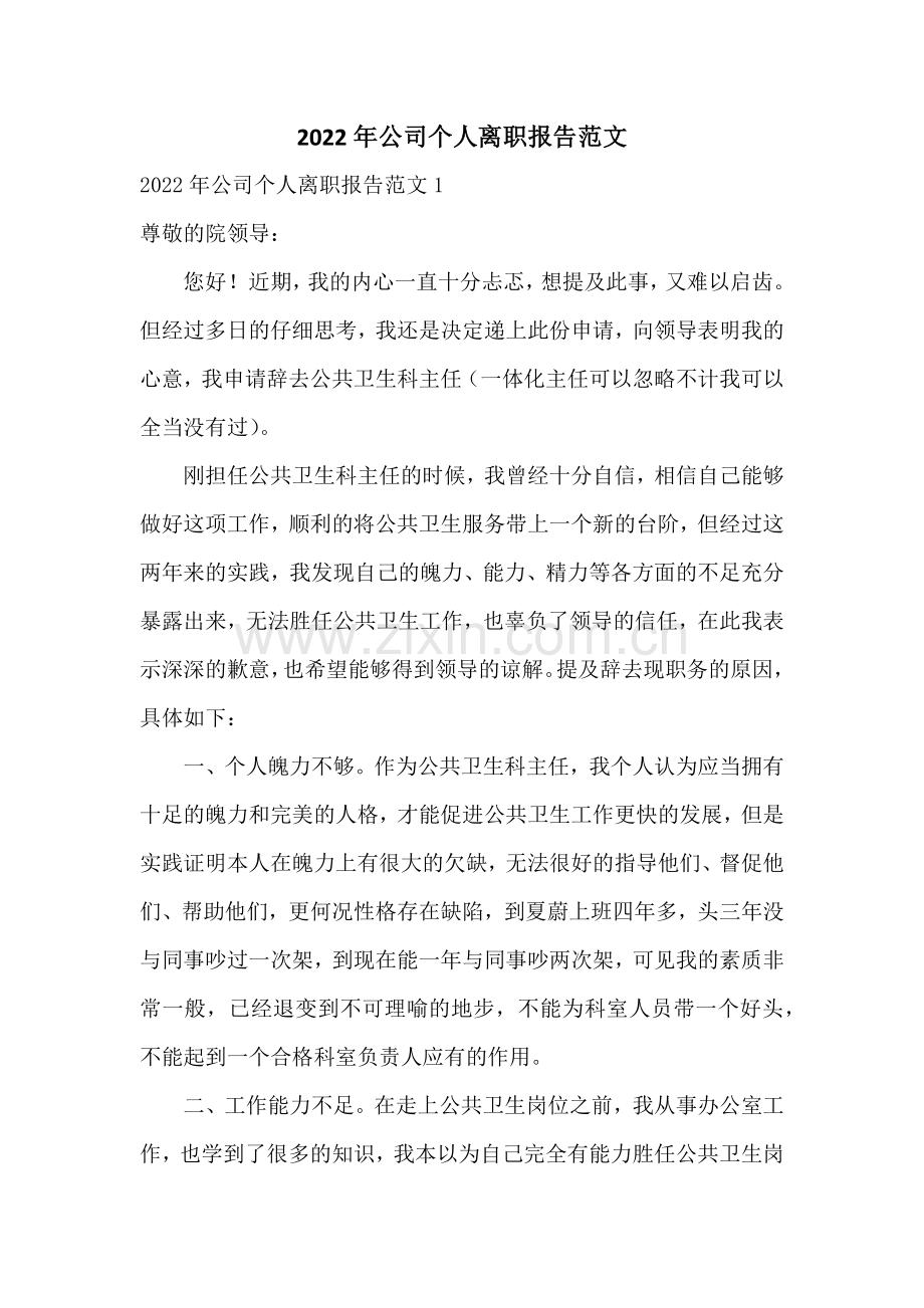 2022年公司个人离职报告范文.docx_第1页