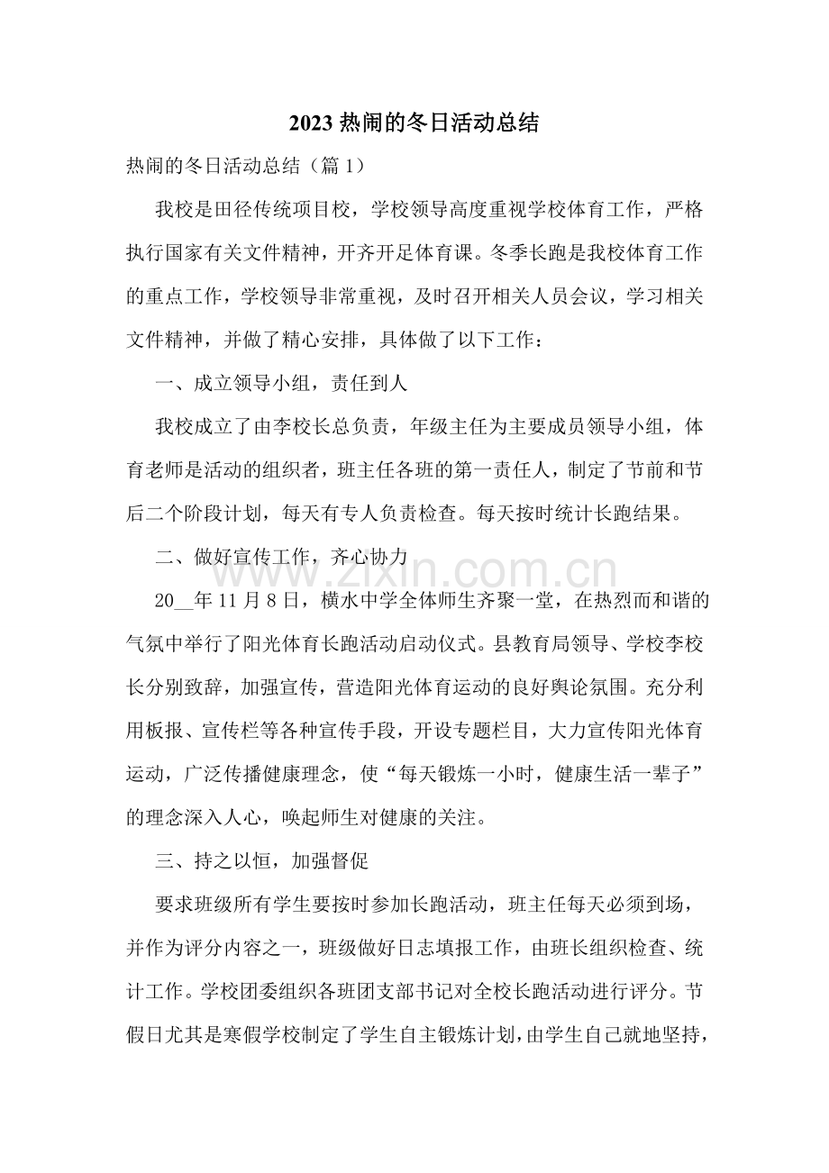 2023热闹的冬日活动总结.doc_第1页