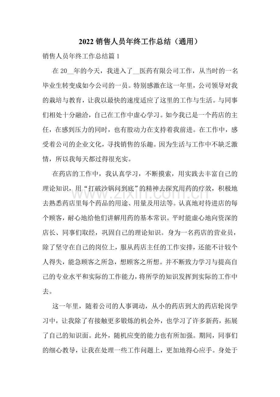 2022销售人员年终工作总结(通用).doc_第1页