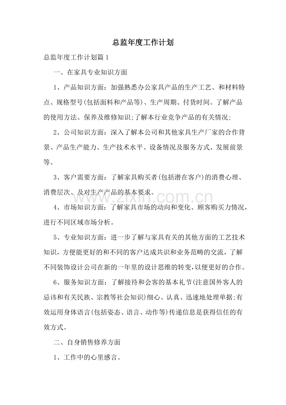 总监年度工作计划.doc_第1页