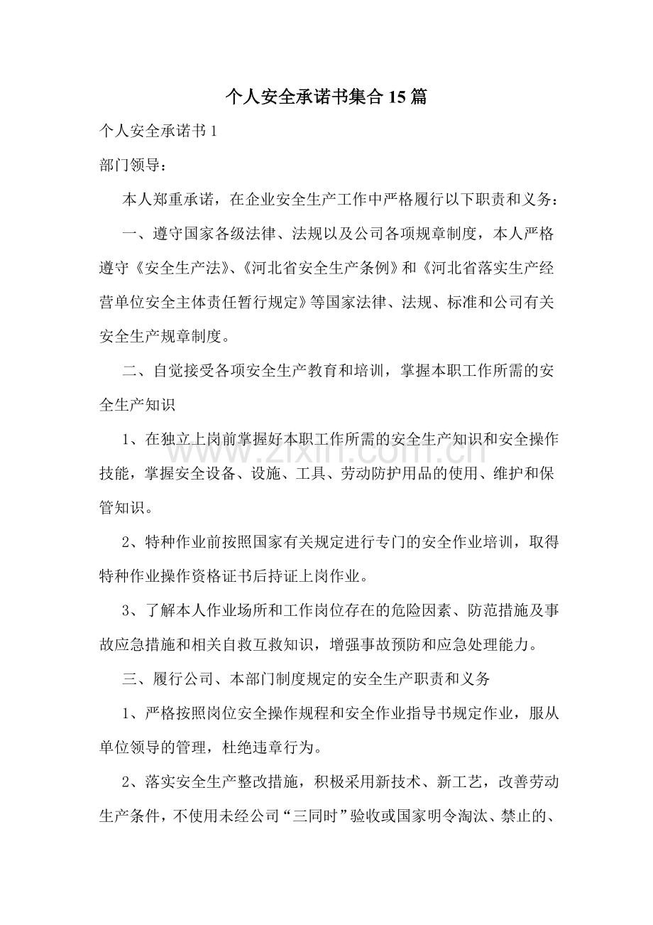 个人安全承诺书集合15篇.doc_第1页