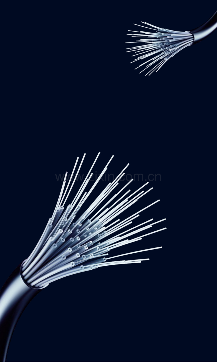 2030：全球金融科技生态扫描.pdf_第2页