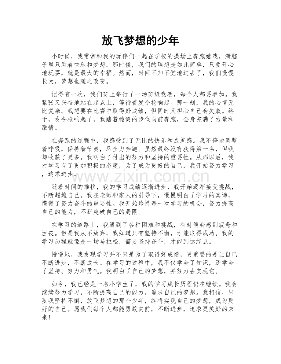 放飞梦想的少年.doc_第1页