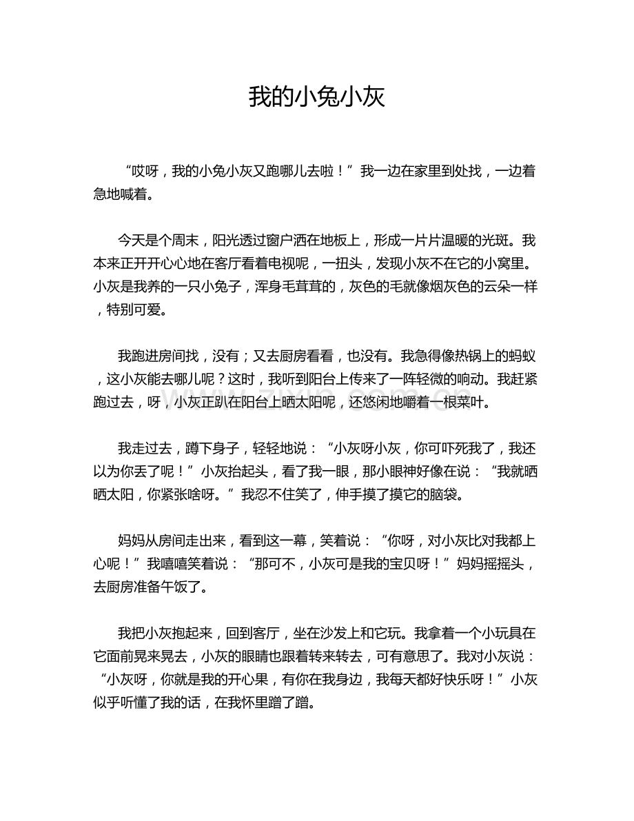 我的小兔小灰.doc_第1页