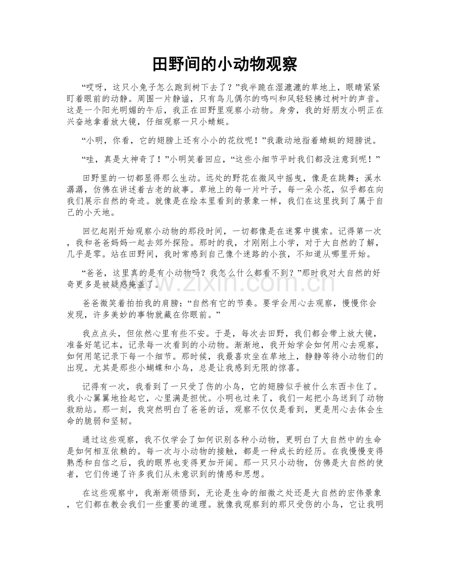 田野间的小动物观察.doc_第1页