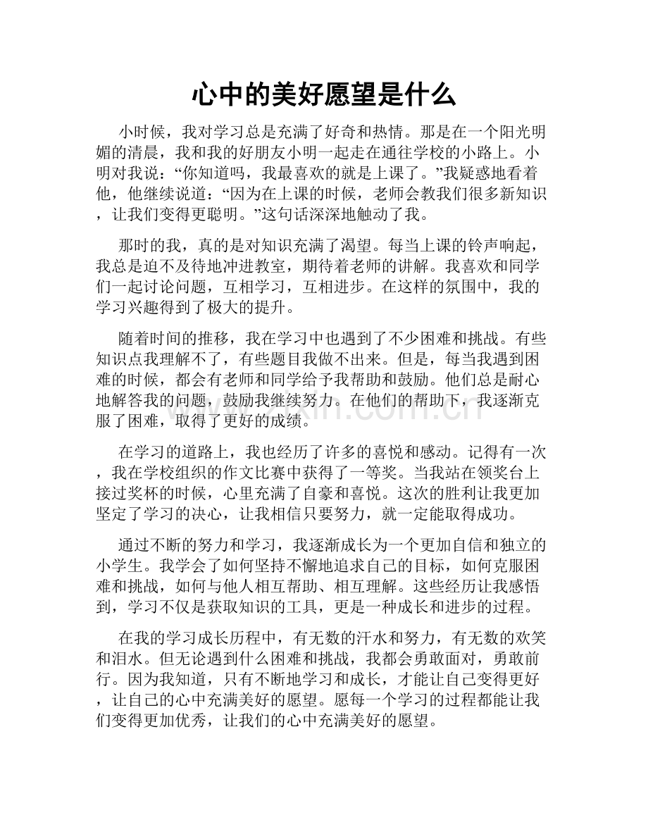 心中的美好愿望是什么.doc_第1页