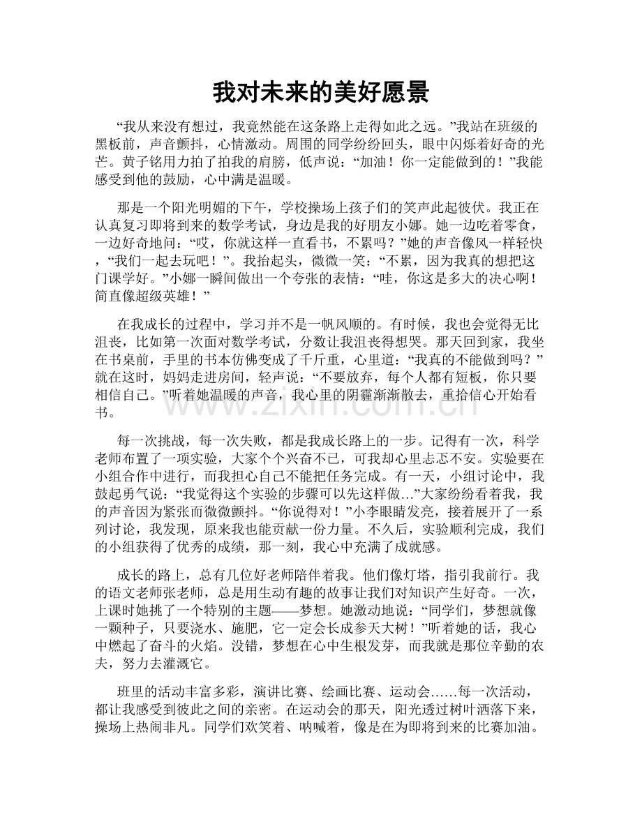 我对未来的美好愿景.doc_第1页