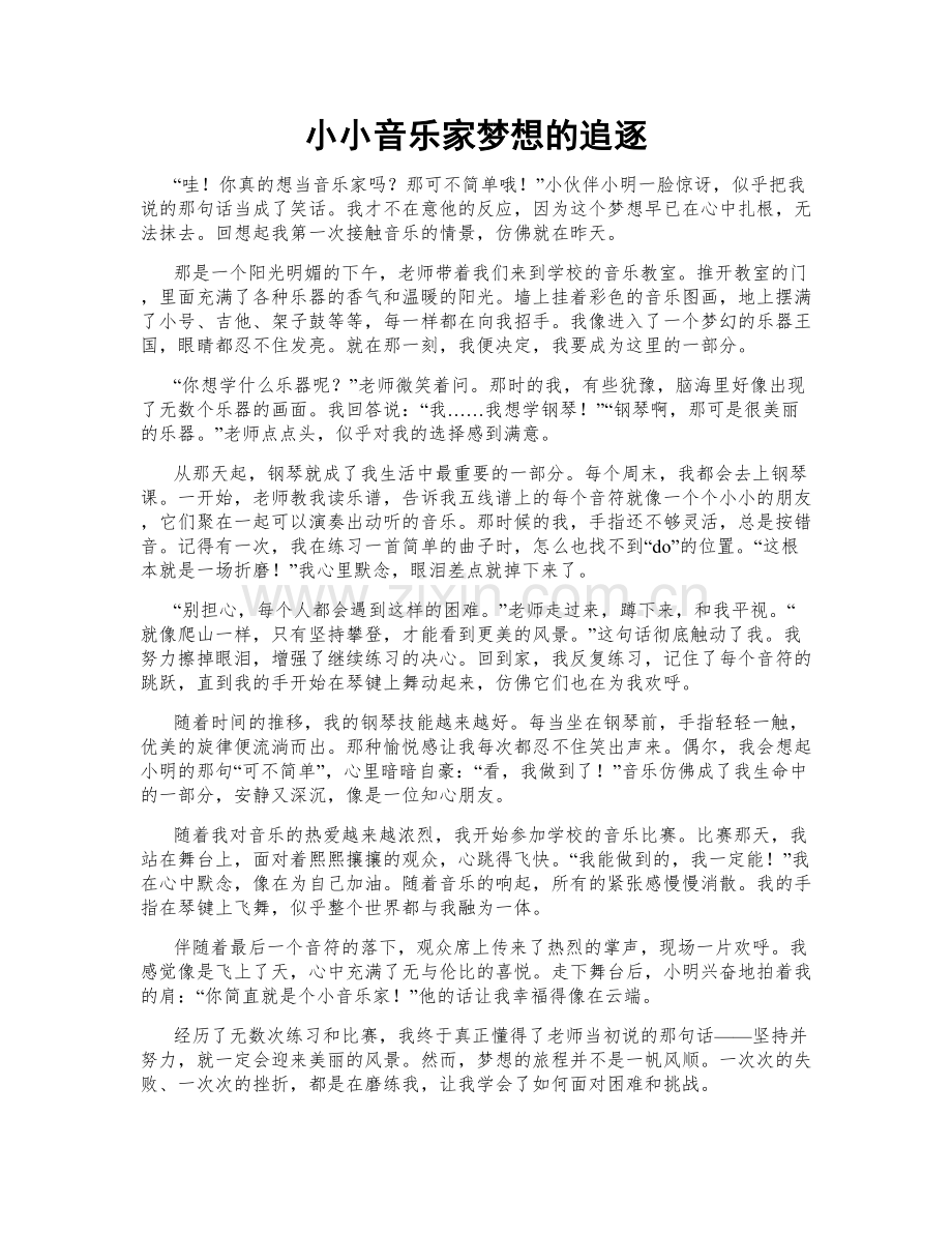小小音乐家梦想的追逐.doc_第1页