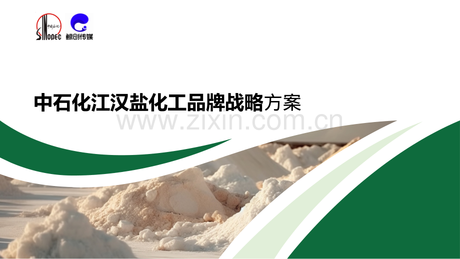 2024年中石化江汉盐化工品牌战略方案.pdf_第1页