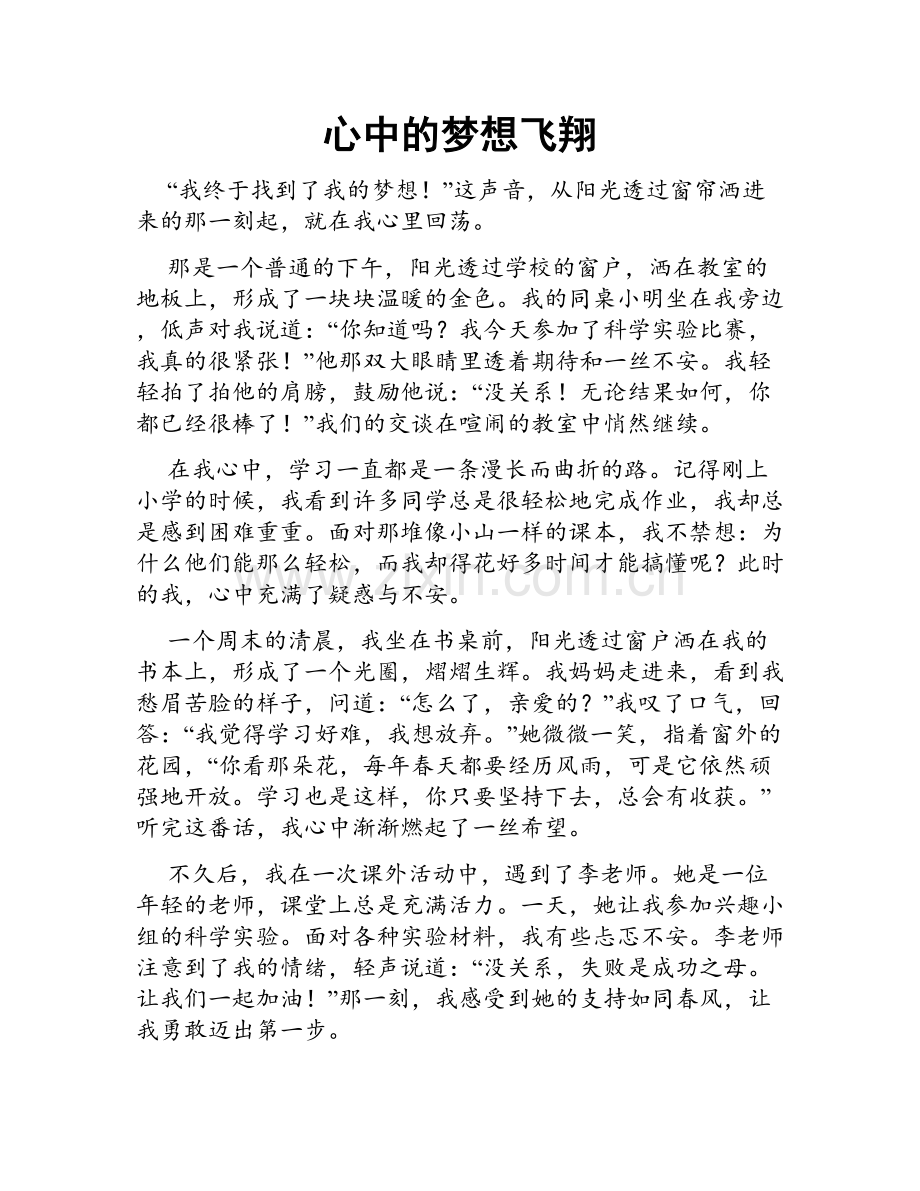 心中的梦想飞翔.doc_第1页
