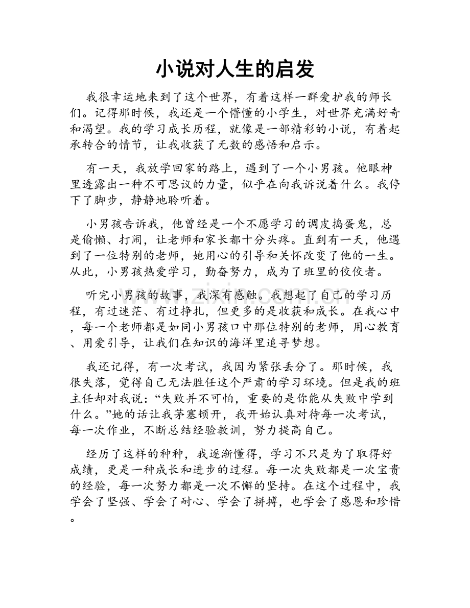 小说对人生的启发.doc_第1页