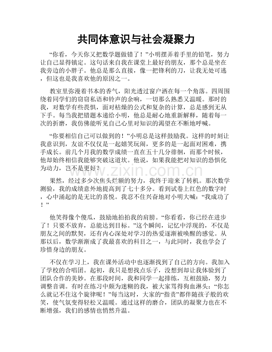 共同体意识与社会凝聚力.doc_第1页