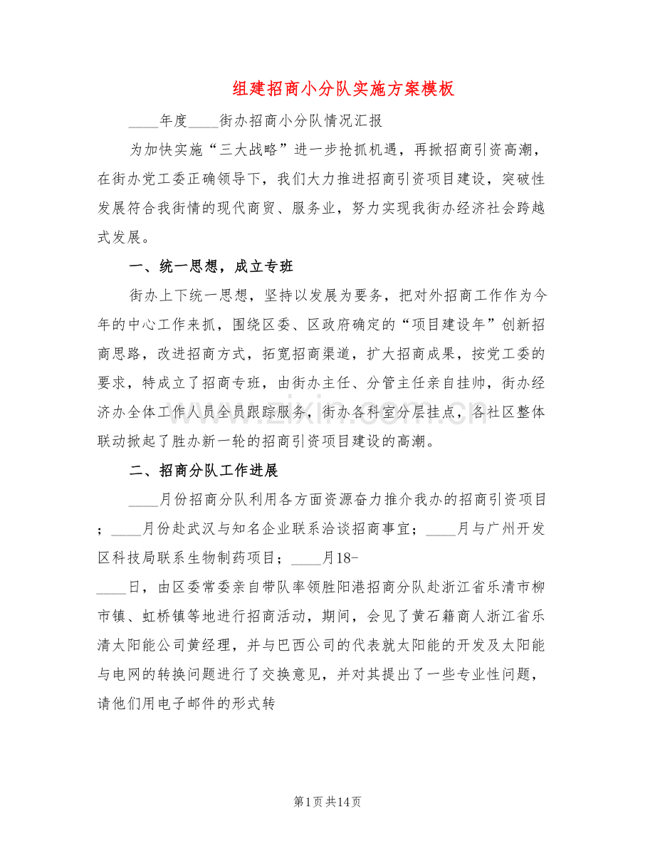 组建招商小分队实施方案模板(5篇).doc_第1页