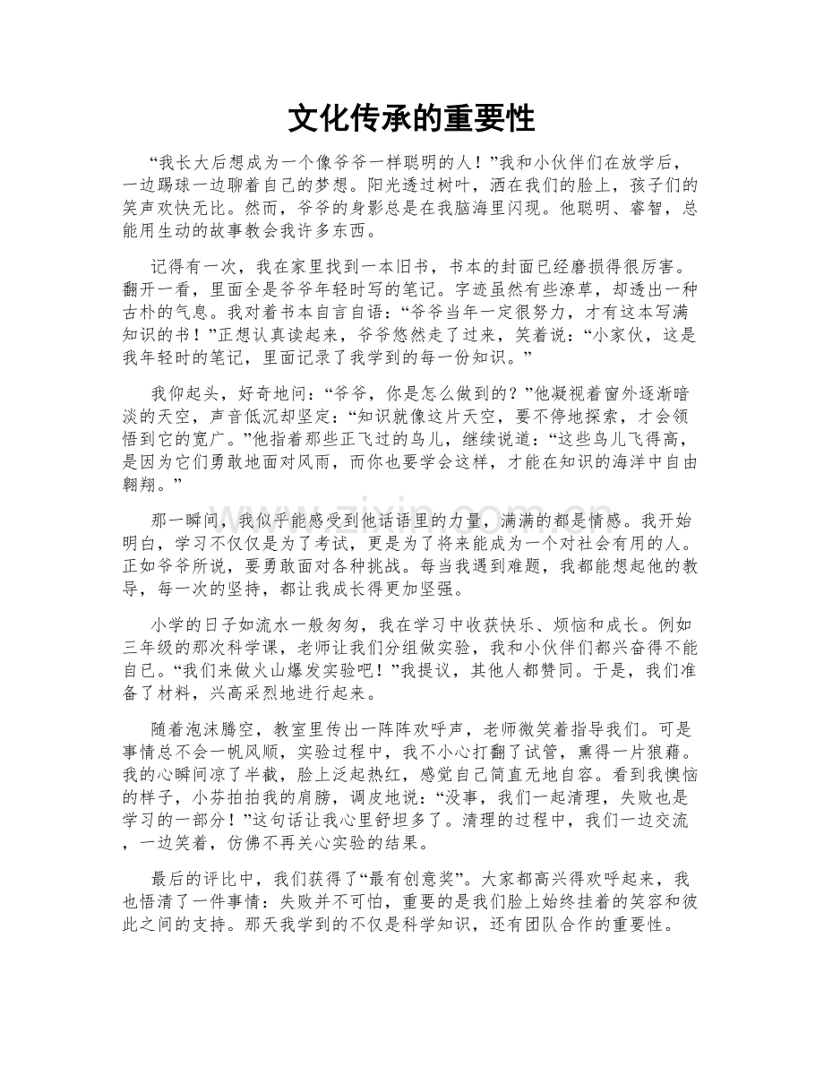 文化传承的重要性.doc_第1页