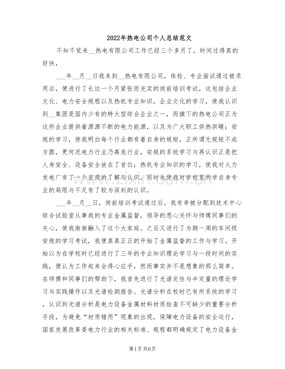 2022年热电公司个人总结范文.doc_第1页