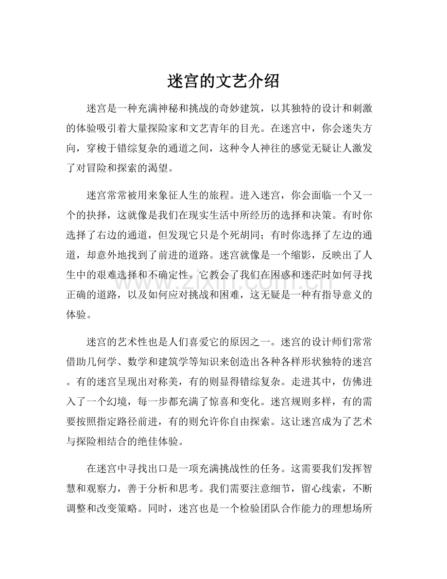 迷宫的文艺介绍.docx_第1页